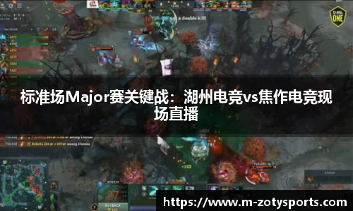 中欧体育