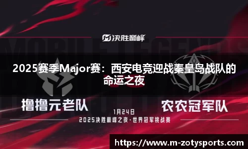 中欧体育